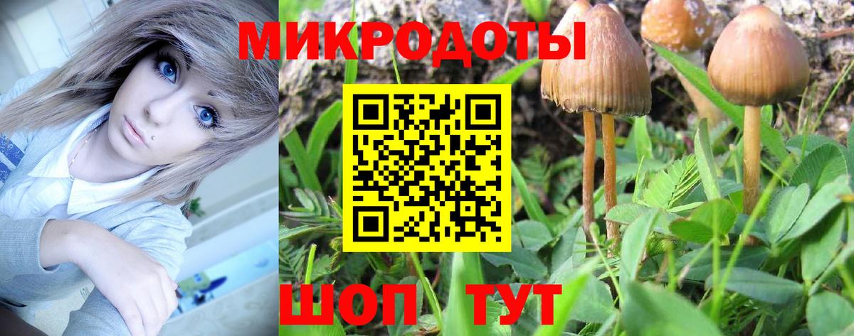 Мыски  наркота  Вход с VPN  Галлюциногенные грибы Psilocybe 
